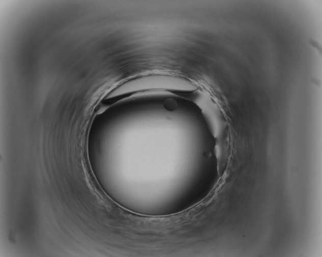 X0000096460001200801311522