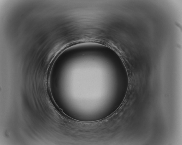 X0000096460002200801311522