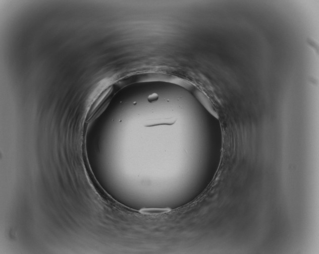 X0000096460003200801311522