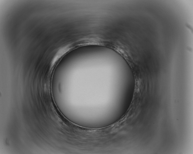 X0000096460004200801311522