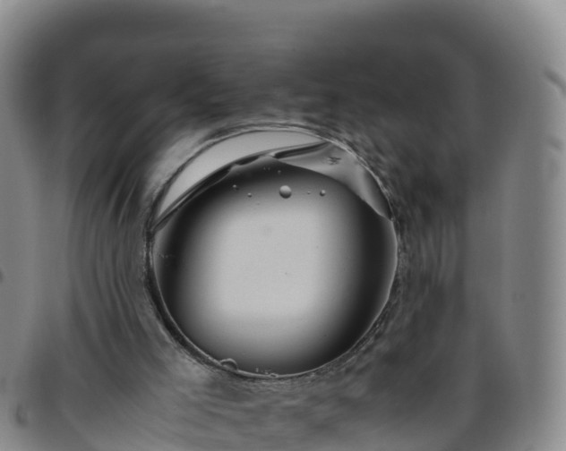 X0000096460005200801311522
