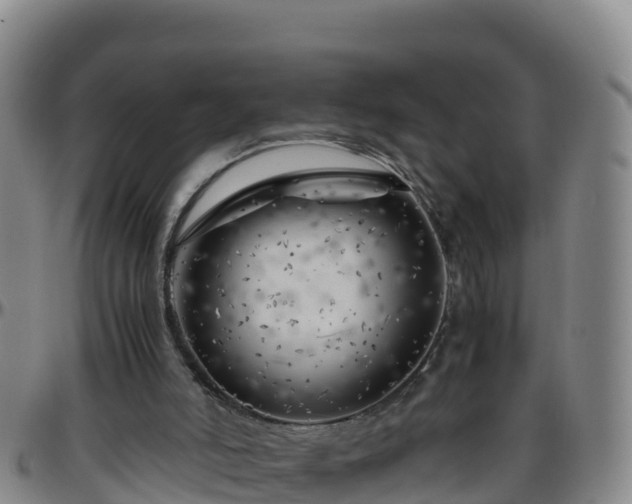 X0000096460006200801311522