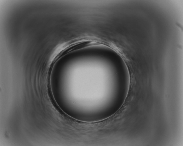 X0000096460007200801311522