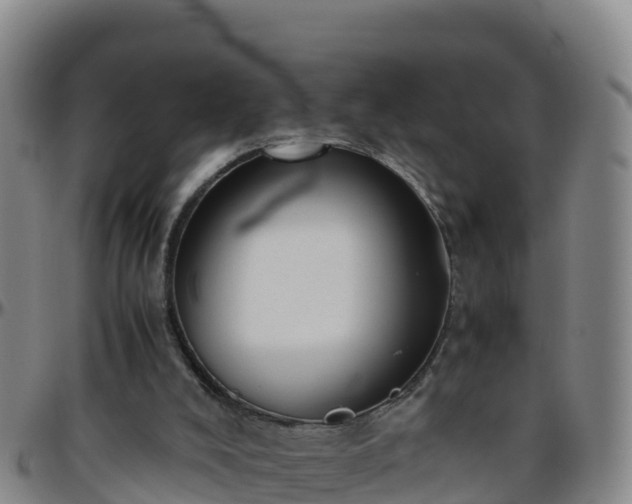 X0000096460008200801311522