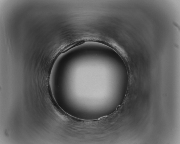 X0000096460009200801311522