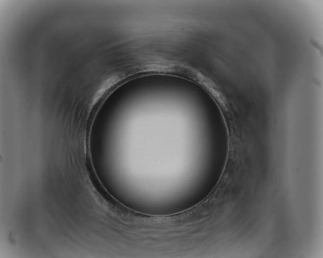 X0000096460011200801311522