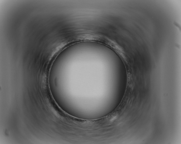 X0000096460012200801311522