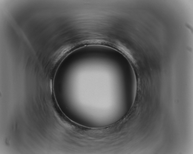 X0000096460013200801311522