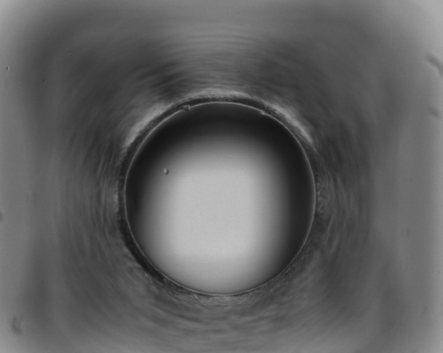 X0000096460015200801311522