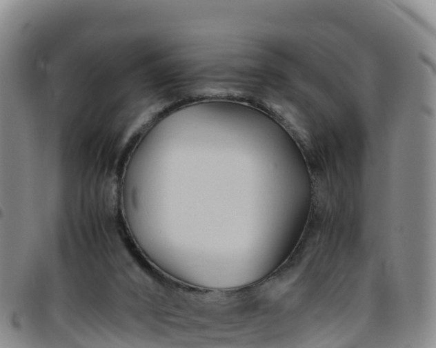 X0000096460016200801311522