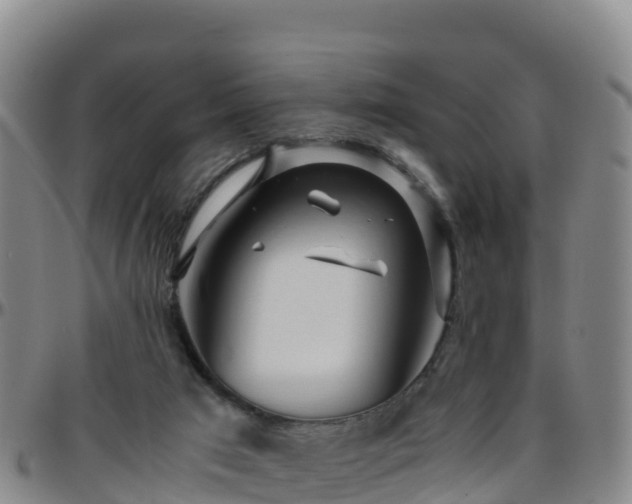 X0000096460017200801311522