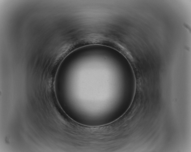 X0000096460018200801311522
