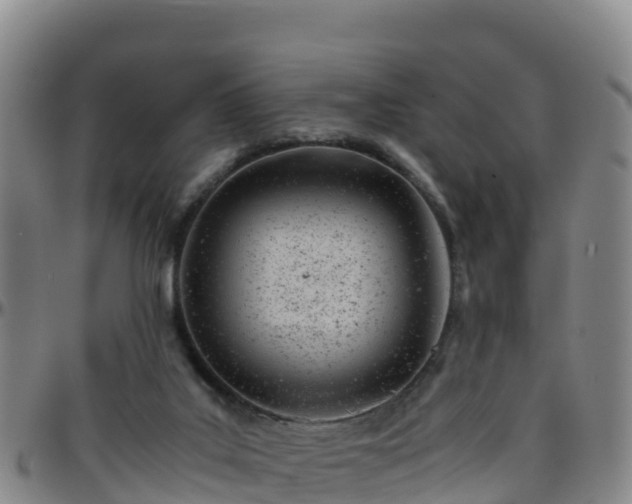 X0000096460019200801311522