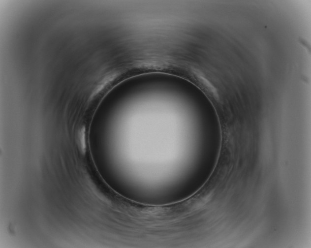X0000096460020200801311522