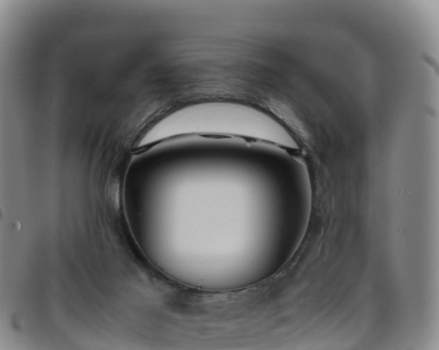 X0000096460021200801311522