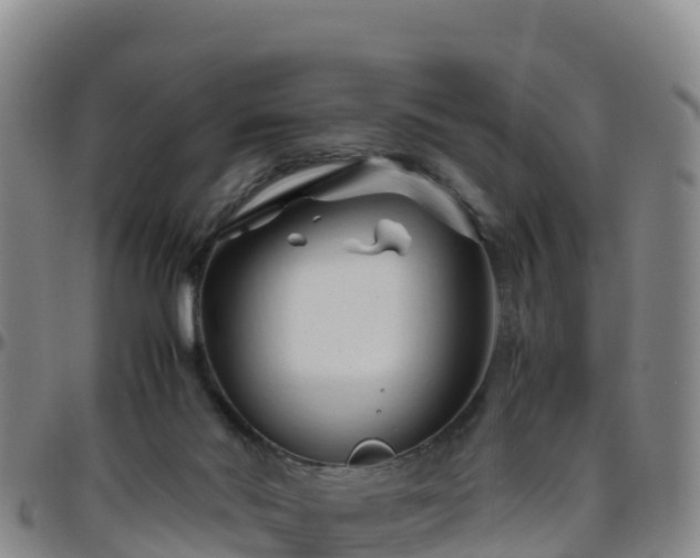 X0000096460022200801311522