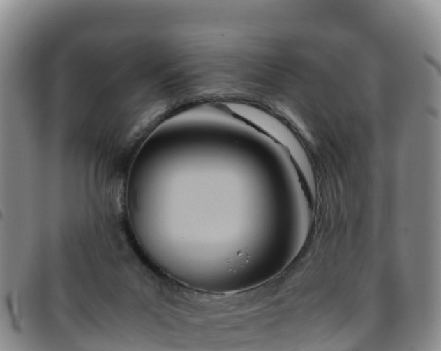 X0000096460023200801311522