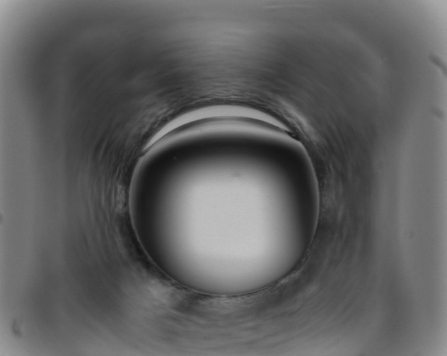 X0000096460025200801311522