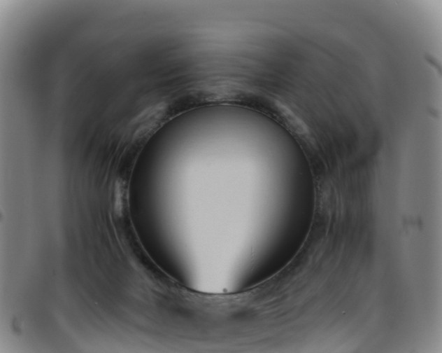X0000096460026200801311522