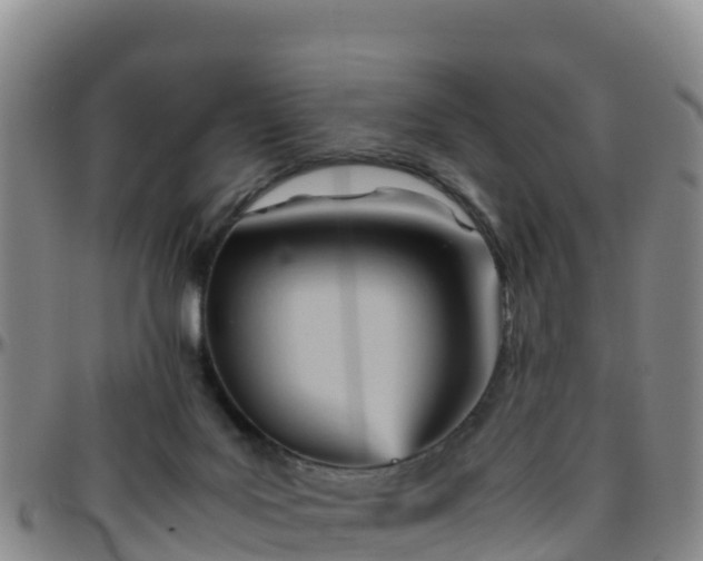 X0000096460027200801311522