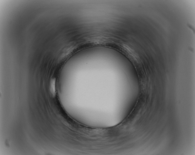 X0000096460028200801311522