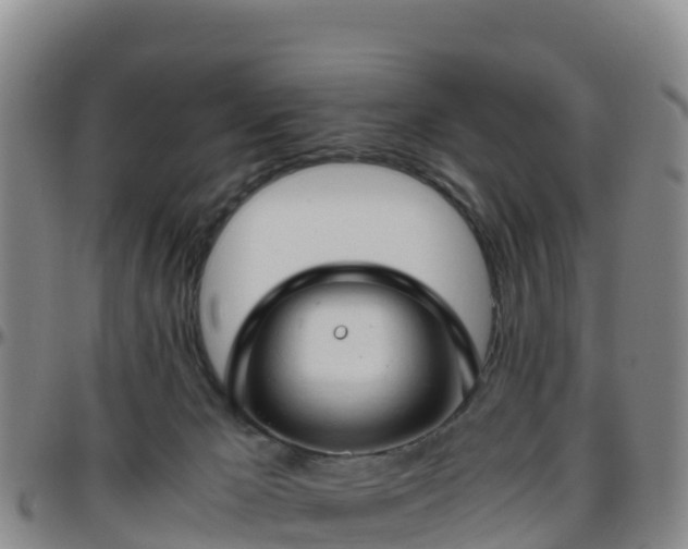 X0000096460029200801311522