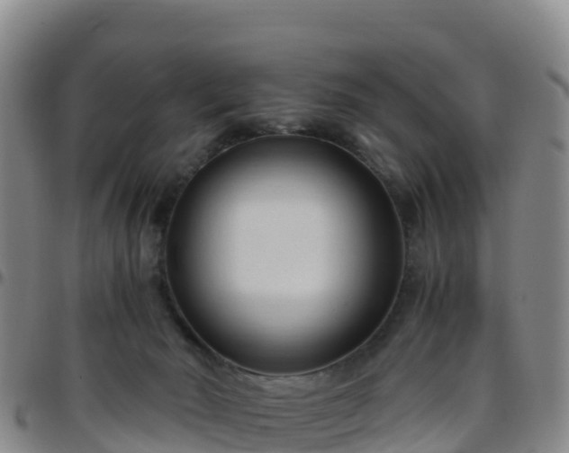 X0000096460030200801311522