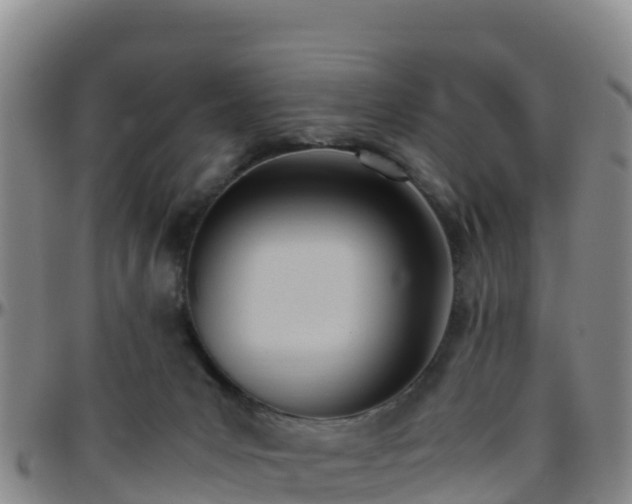 X0000096460031200801311522