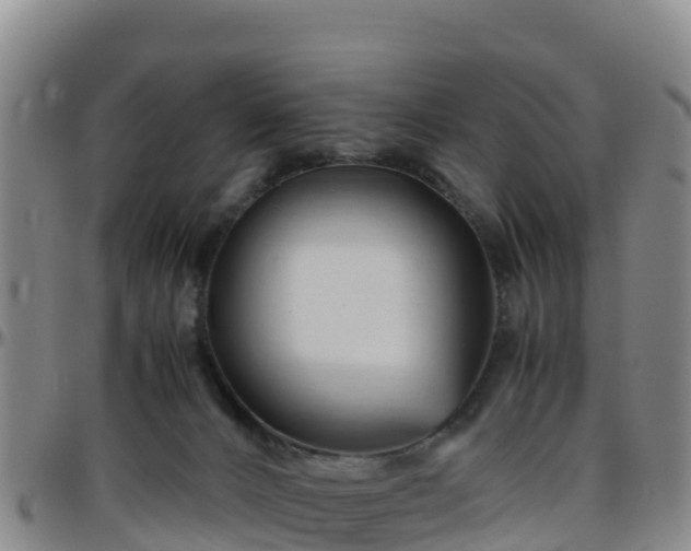 X0000096460032200801311522