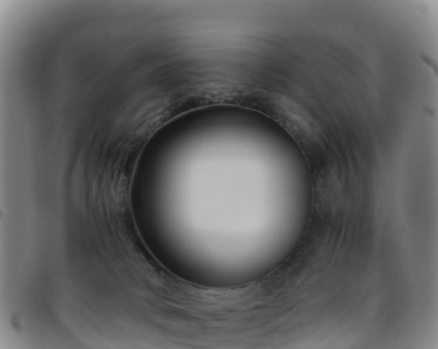 X0000096460034200801311522