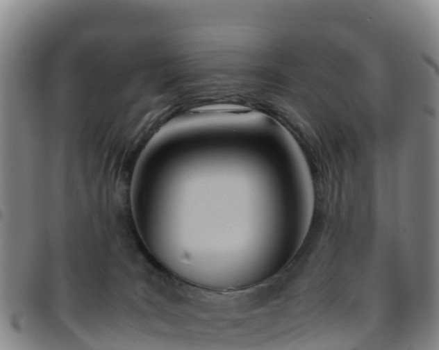 X0000096460035200801311522