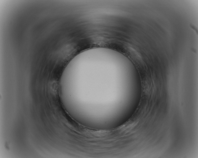 X0000096460036200801311522
