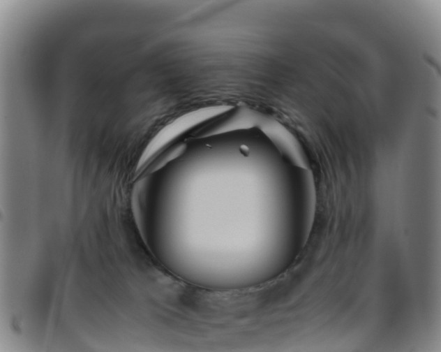 X0000096460037200801311522