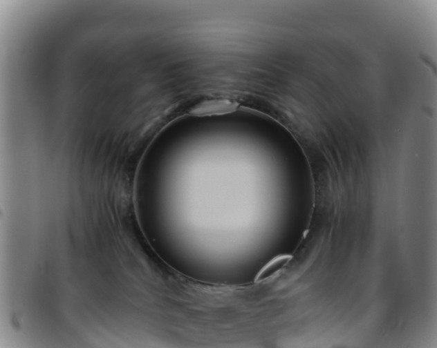 X0000096460040200801311522
