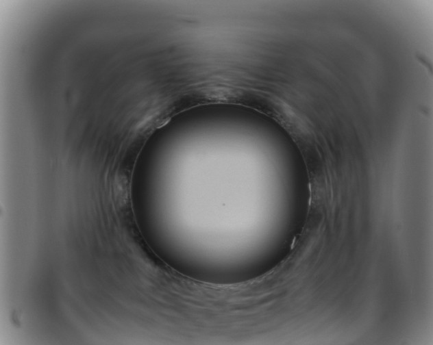 X0000096460043200801311522