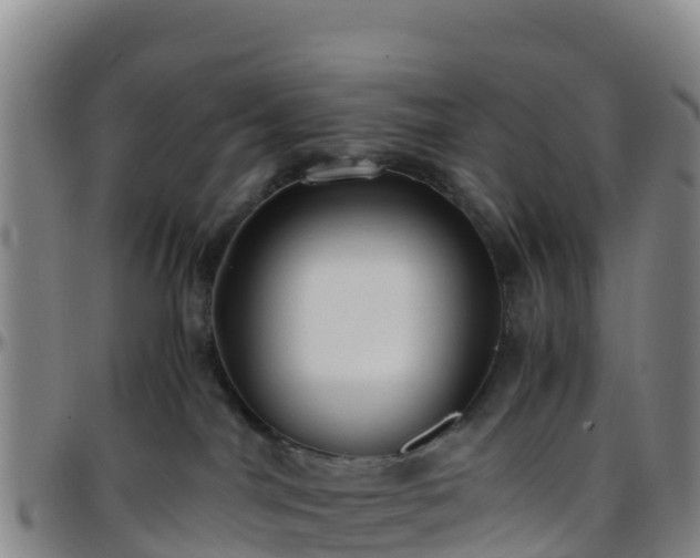 X0000096460044200801311522