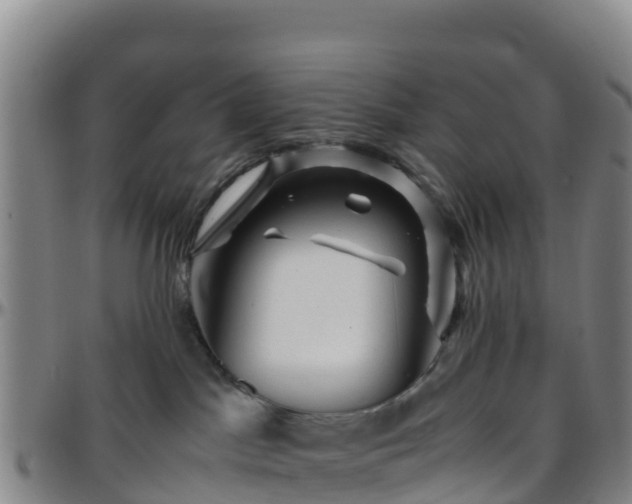 X0000096460045200801311522