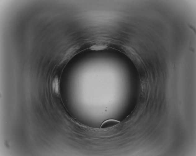 X0000096460046200801311522