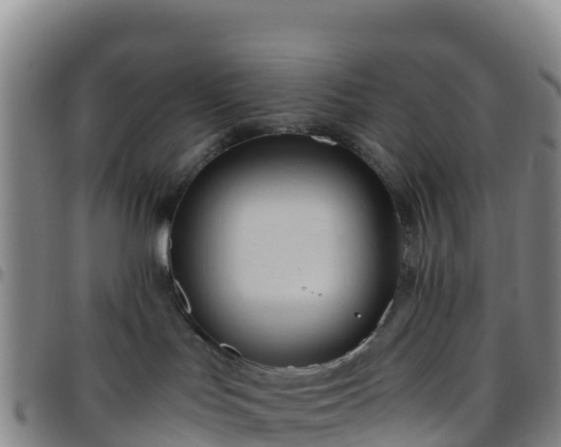 X0000096460047200801311522