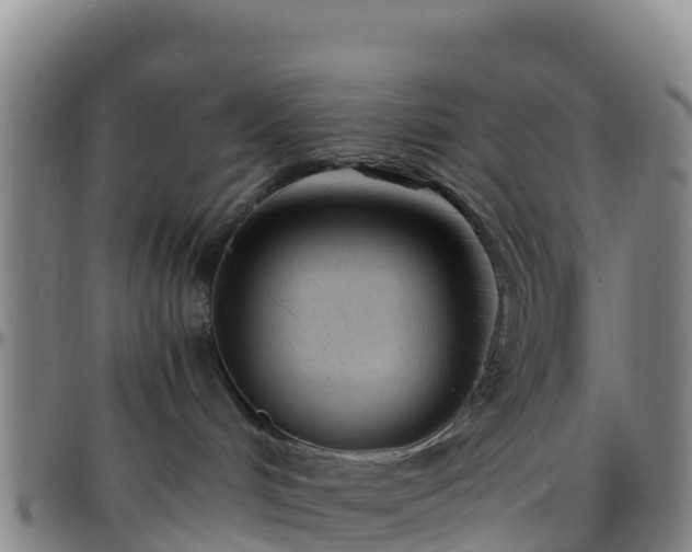 X0000096460048200801311522