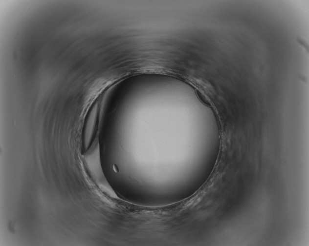 X0000096460049200801311521