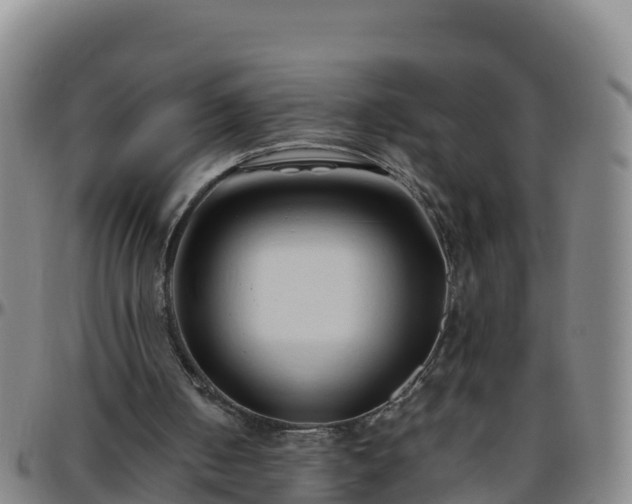 X0000096460050200801311521