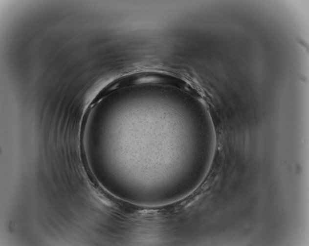 X0000096460052200801311521