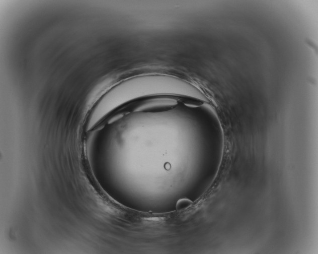 X0000096460053200801311521