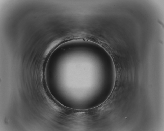 X0000096460054200801311521
