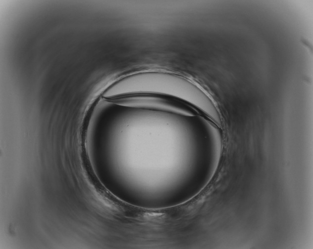 X0000096460055200801311521