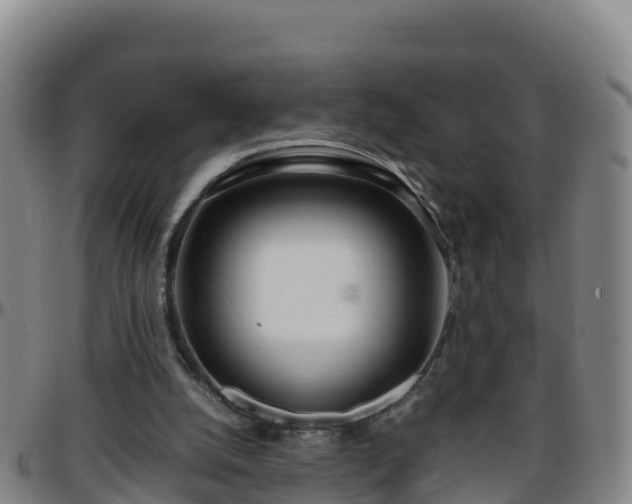 X0000096460056200801311521