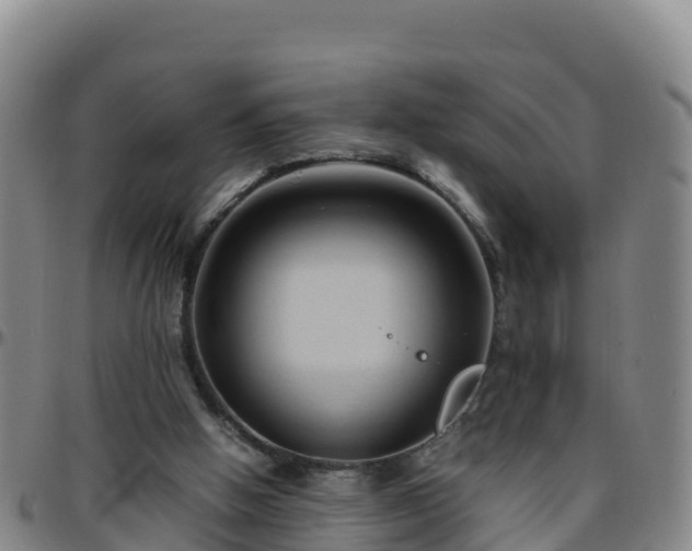 X0000096460058200801311521