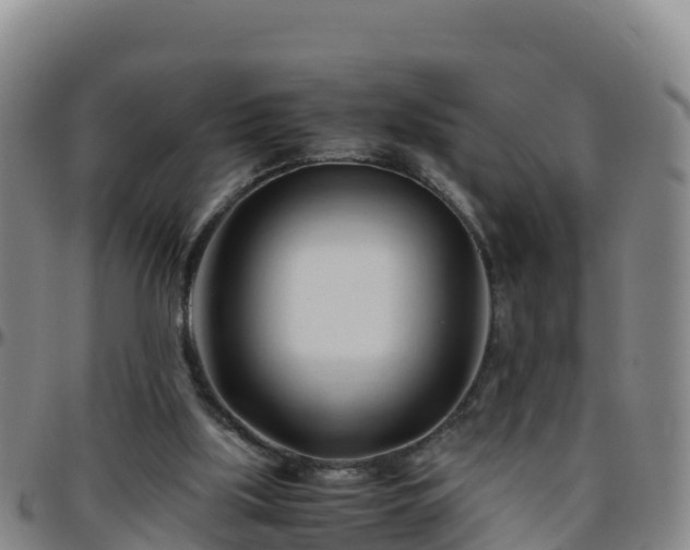 X0000096460059200801311521
