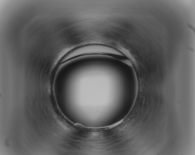 X0000096460060200801311521